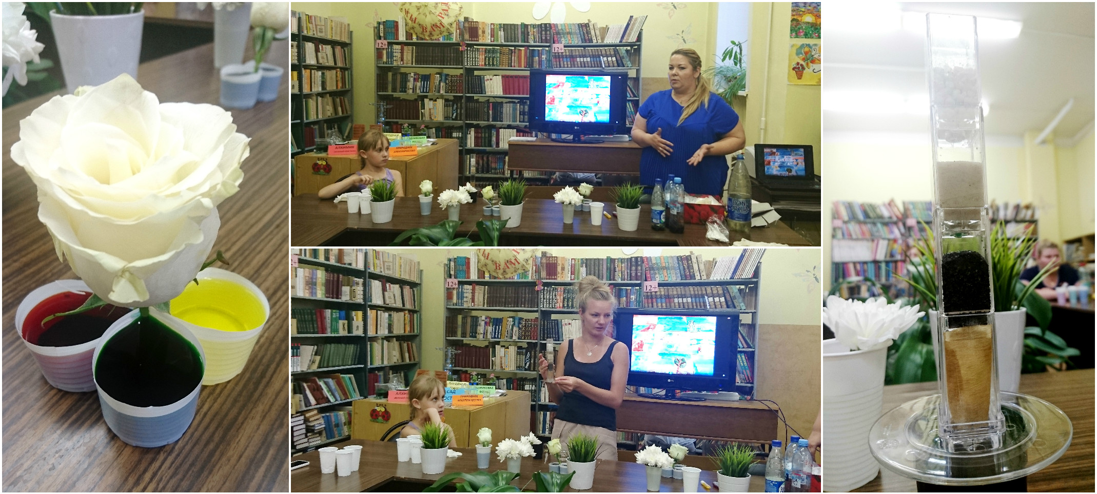 30 июня 2016 - «Цветочный эксперимент» в экологическом центре на базе Библиотеки № 3