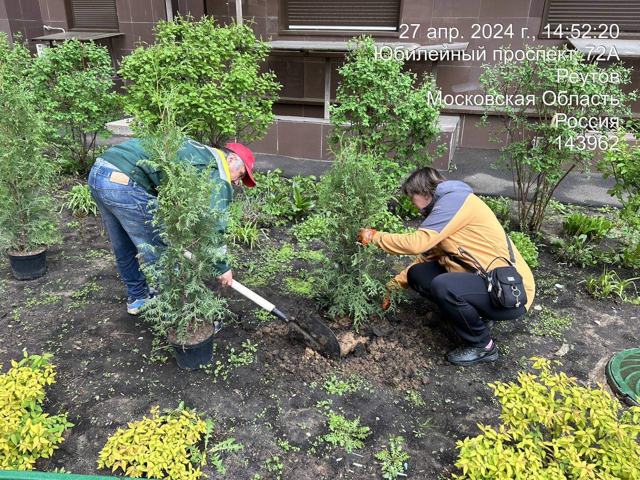 Сотрудники УК «Реуткомфорт» высадили деревья в память о погибших в Великой Отечественной войне