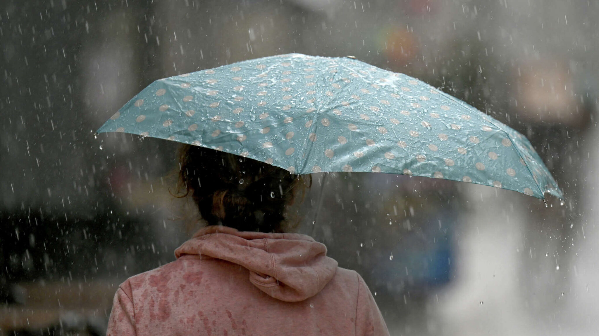 Дождь, гроза и ветер ожидаются в Московской области